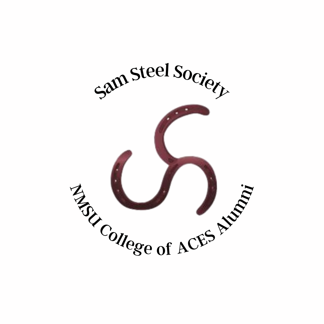 Sam Steel Logo